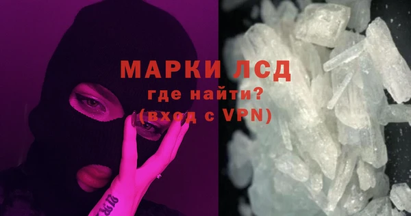 сатива Приозерск