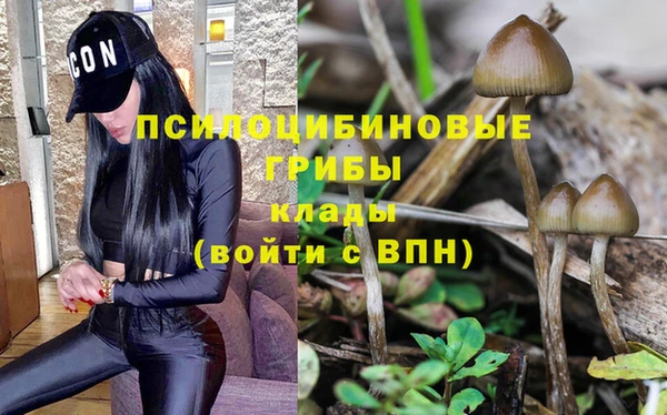 прущий лед Протвино