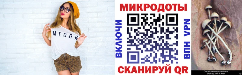 купить наркоту  Кемерово  Псилоцибиновые грибы ЛСД 