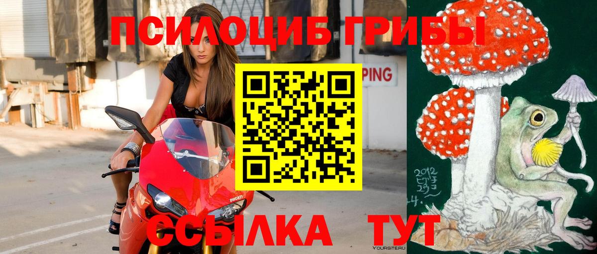 Галлюциногенные грибы ЛСД  Псилоцибиновые грибы прущие грибы  цены   Кемерово 